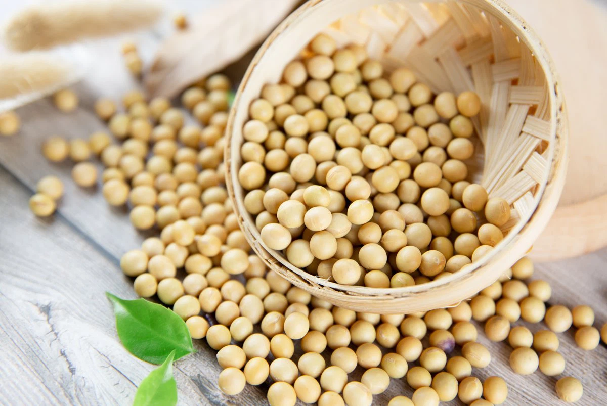 soybean extract powder famous factory