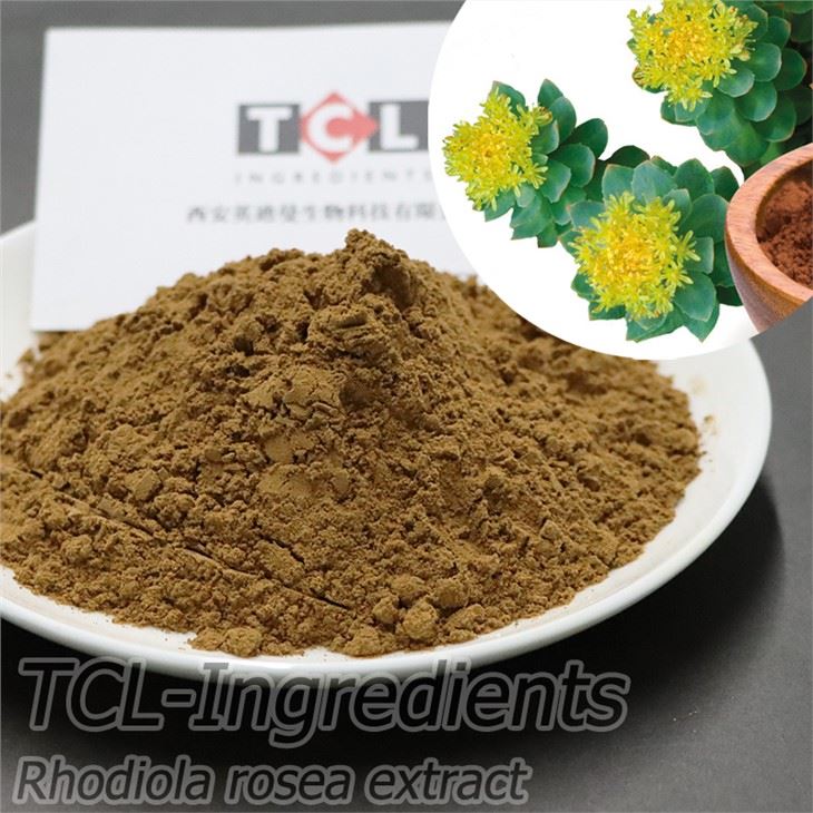 Rhodiola Rosea ekstrakta pulveris